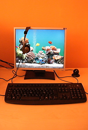 Aquarium Loung, Computerplätze